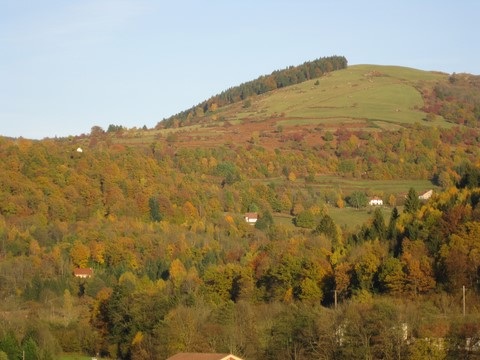 Vue tête des champs chalet primevere Le Ménil Hautes Vosges (88160)